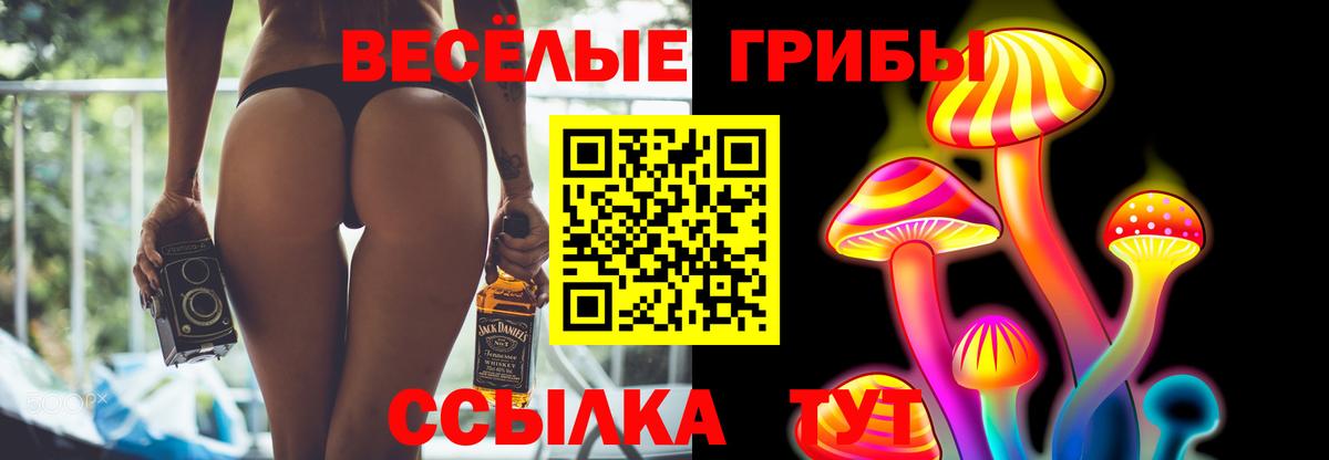 как найти   Псилоцибиновые грибы Cubensis  Вход с VPN  Сергиев Посад 